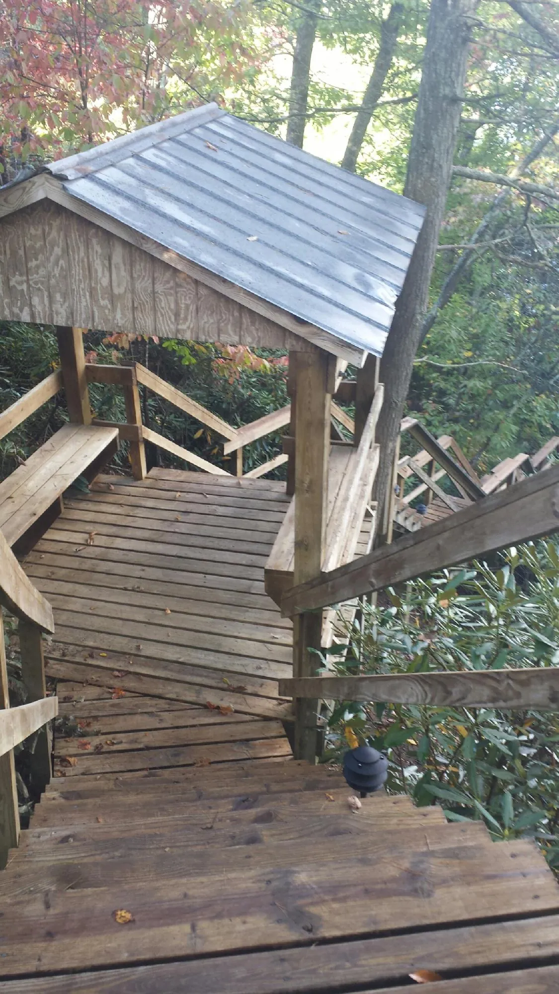 Metal roofed shelter over wooden steps on a wooded walkway — Skylight Repair & Installation work by our crew in Frankton