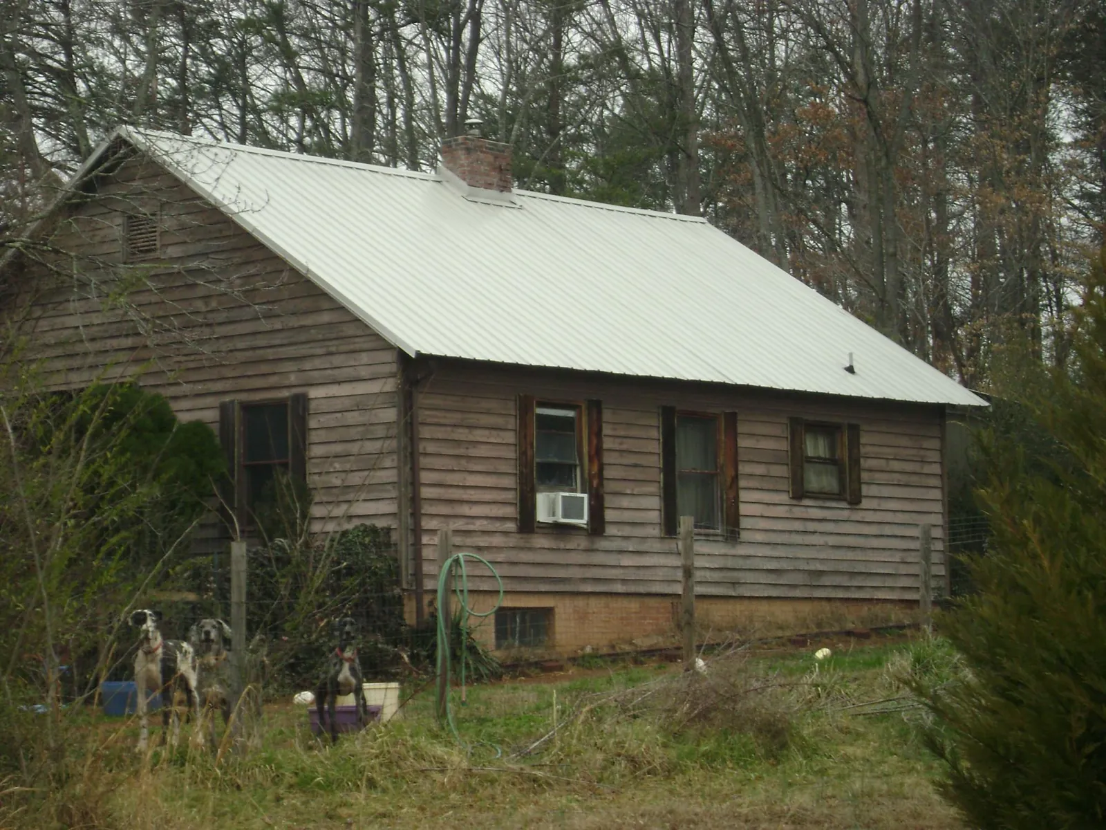 White metal roof on an old wood sided farmhouse, from a Asphalt Shingle Roof Repair job in Frankton
